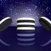 Polarity Game Piece Detail